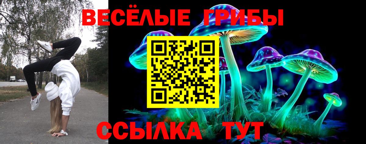 Галлюциногенные грибы прущие грибы  Вход с VPN  Псилоцибиновые грибы Psilocybe  Алапаевск 